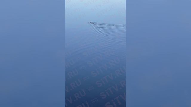 Молния в Сургуте? Какие сургутяне не парятся по поводу погоды?