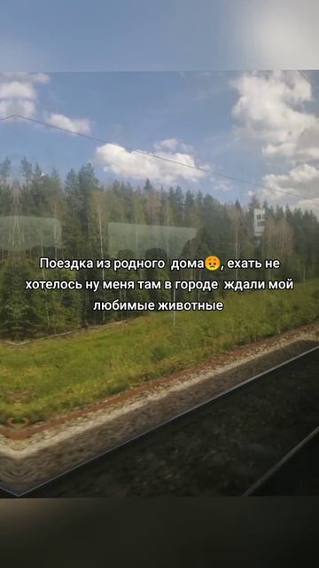 oksinya36_2025-06-20-12-49-02_1750405742757.mp4