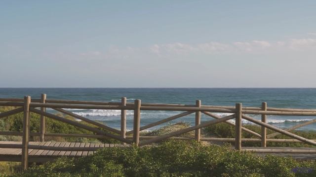 Это видео - как теплый плед в холодный вечер! - Leave the Bottle -- Forget the Whale -- You. Me. Tal