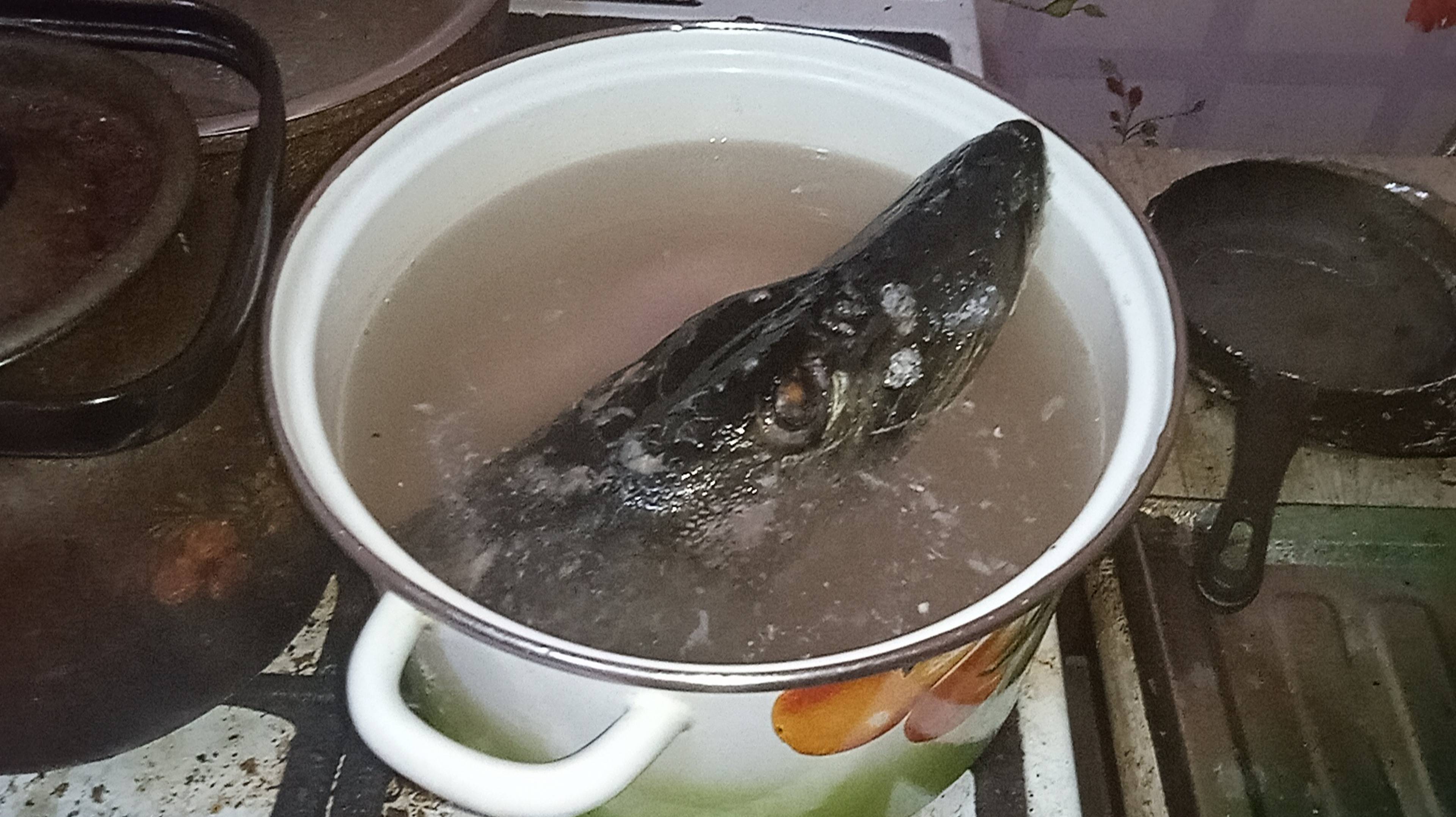 Суп из рыбьей головы