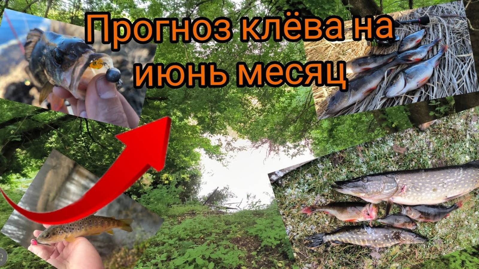 ПРОГНОЗ КЛЁВА НА ИЮНЬ.ЛУННЫЙ КАЛЕНДАРЬ РЫБАКА.