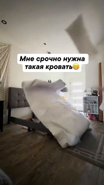 это секунда на работе 
😀