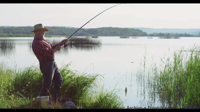Саунд пробуждает забытые мечты о путешествиях - Your Nature -- HoliznaCC0 -- Mouth Music