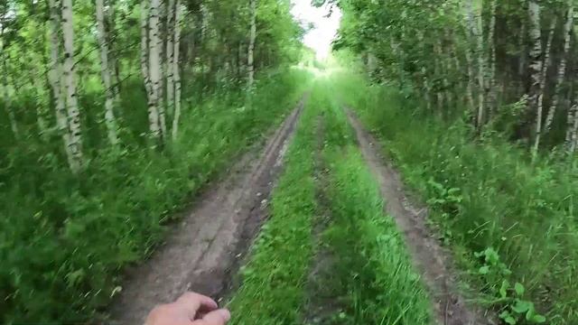 День 503. Жарко и душно. Дистанция 16 километров.