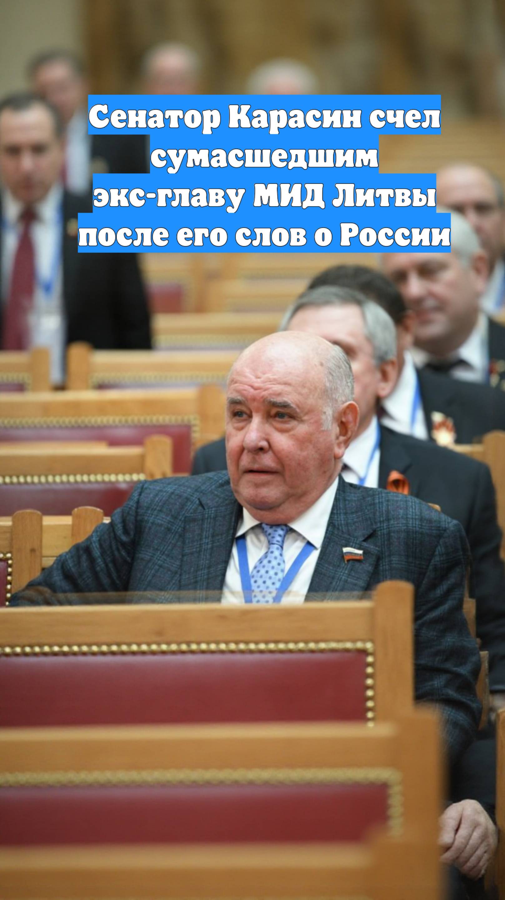 Сенатор Карасин счел сумасшедшим экс-главу МИД Литвы после его слов о России