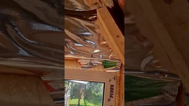 1000026954.mp4 (Собака смотрит на монтаж э/проводки на кухне в доме А-фрейм)