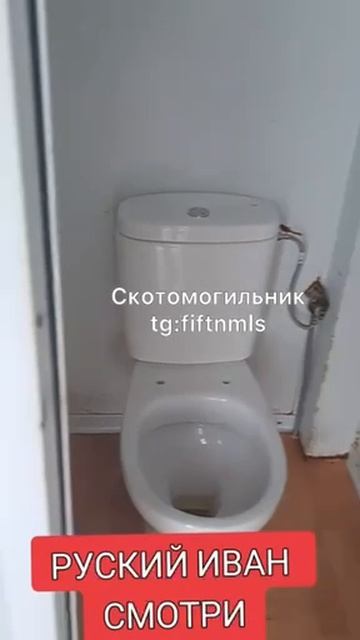 Не смотрите, если не хотите умереть от зависти!