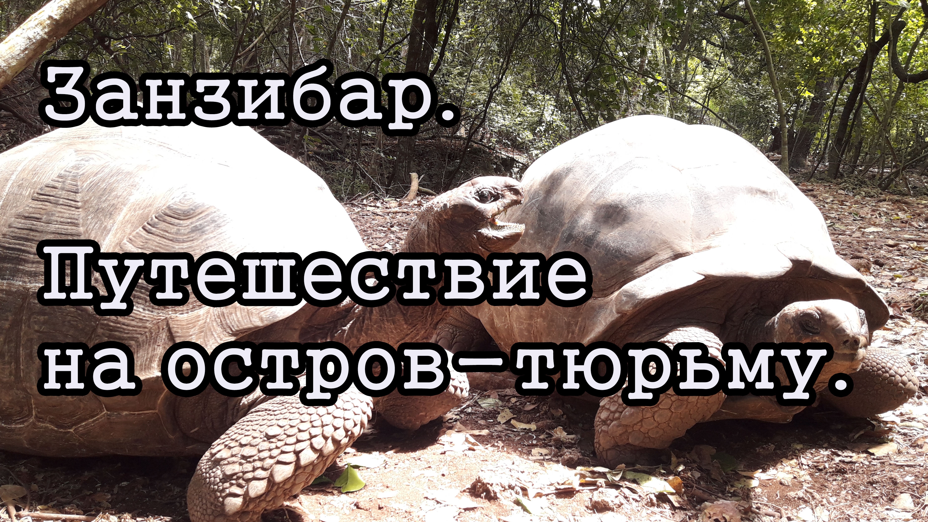 Занзибар. Поездка на остров-тюрьму.