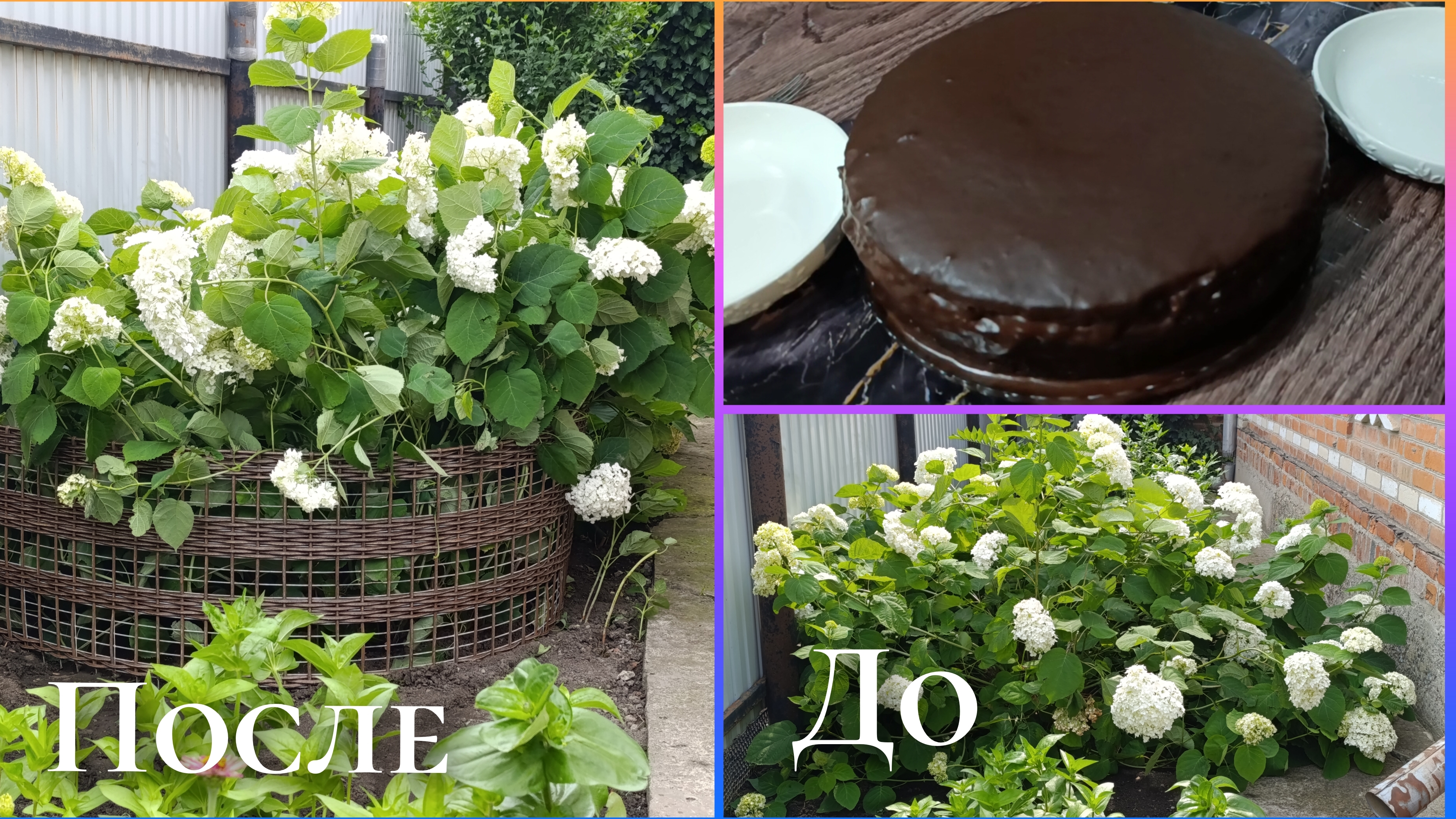 Торт- ПЬЯНАЯ ВИШНЯ. Сделала опору для гортензии.