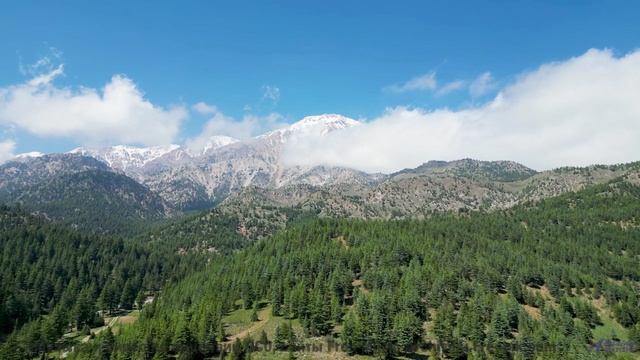 Природа никогда не выглядела так пугающе прекрасно - включите звук! - My Soul -- Mack Aroni -- Lowfi