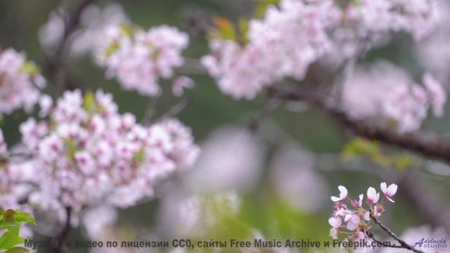 Эта композиция лечит болезни - фантастика становится реальностью! - Since Seventeen -- Derek Clegg -