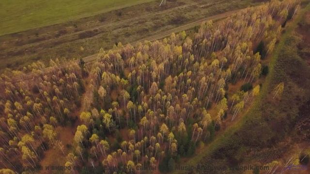 Природа никогда не выглядела так пугающе прекрасно - включите звук! - Belle et triste -- Vulpiano Re