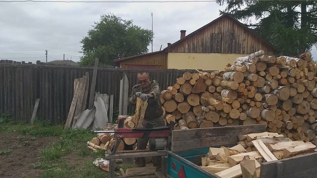 Заготовка дров июнь 2025 год