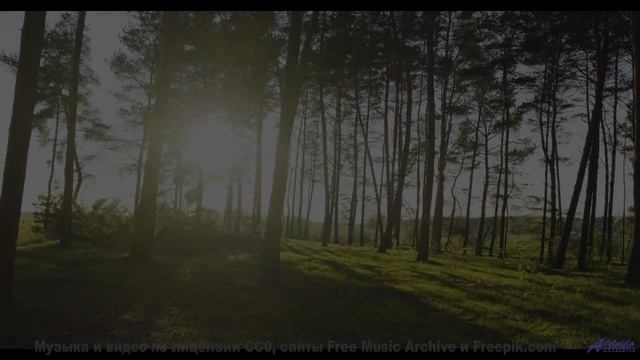 Никто не ожидал такого финала! - The Call -- Podington Bear -- The Hump (Box Set Disc 6)