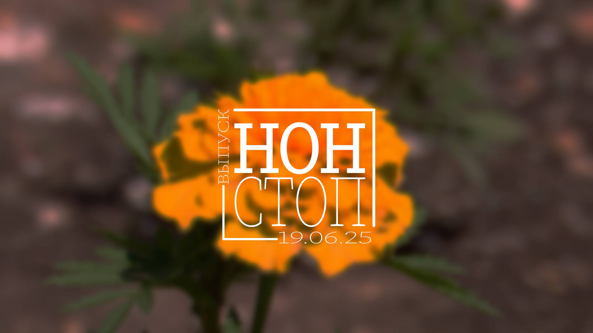 Выпуск НОН-СТОП от 19.06.2025