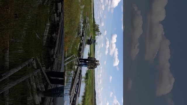 1000025693.mp4