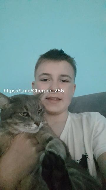 Мой кот и тг канал