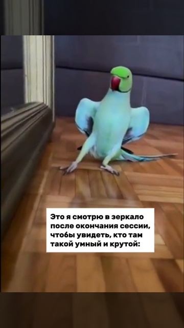 Это же я!