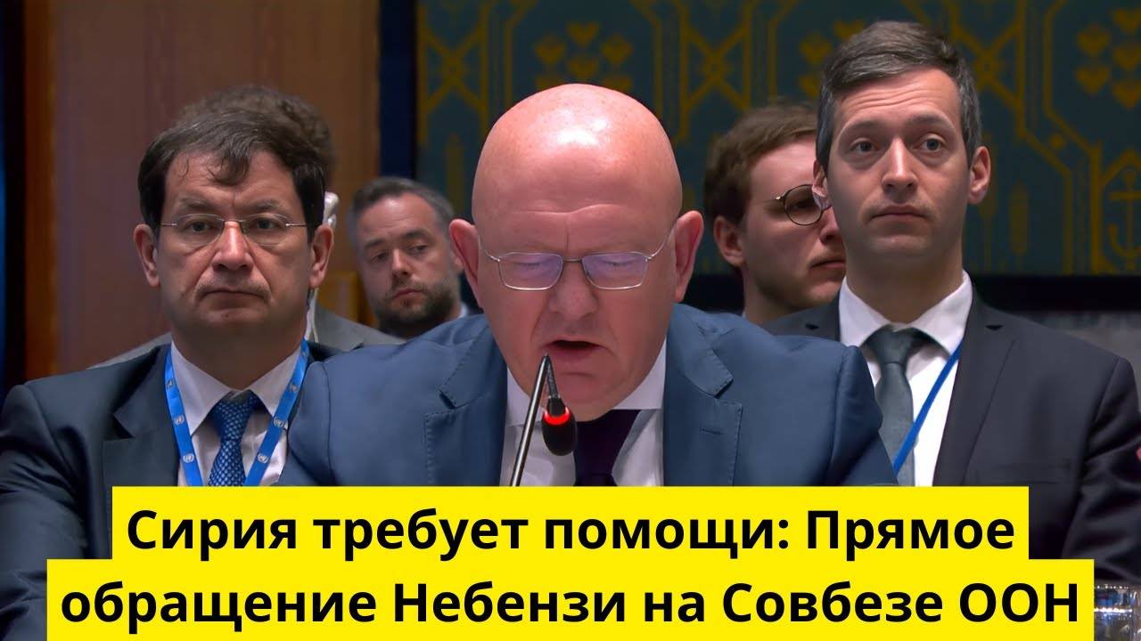 Сирия требует помощи? Прямое обращение Небензи на Совбезе ООН