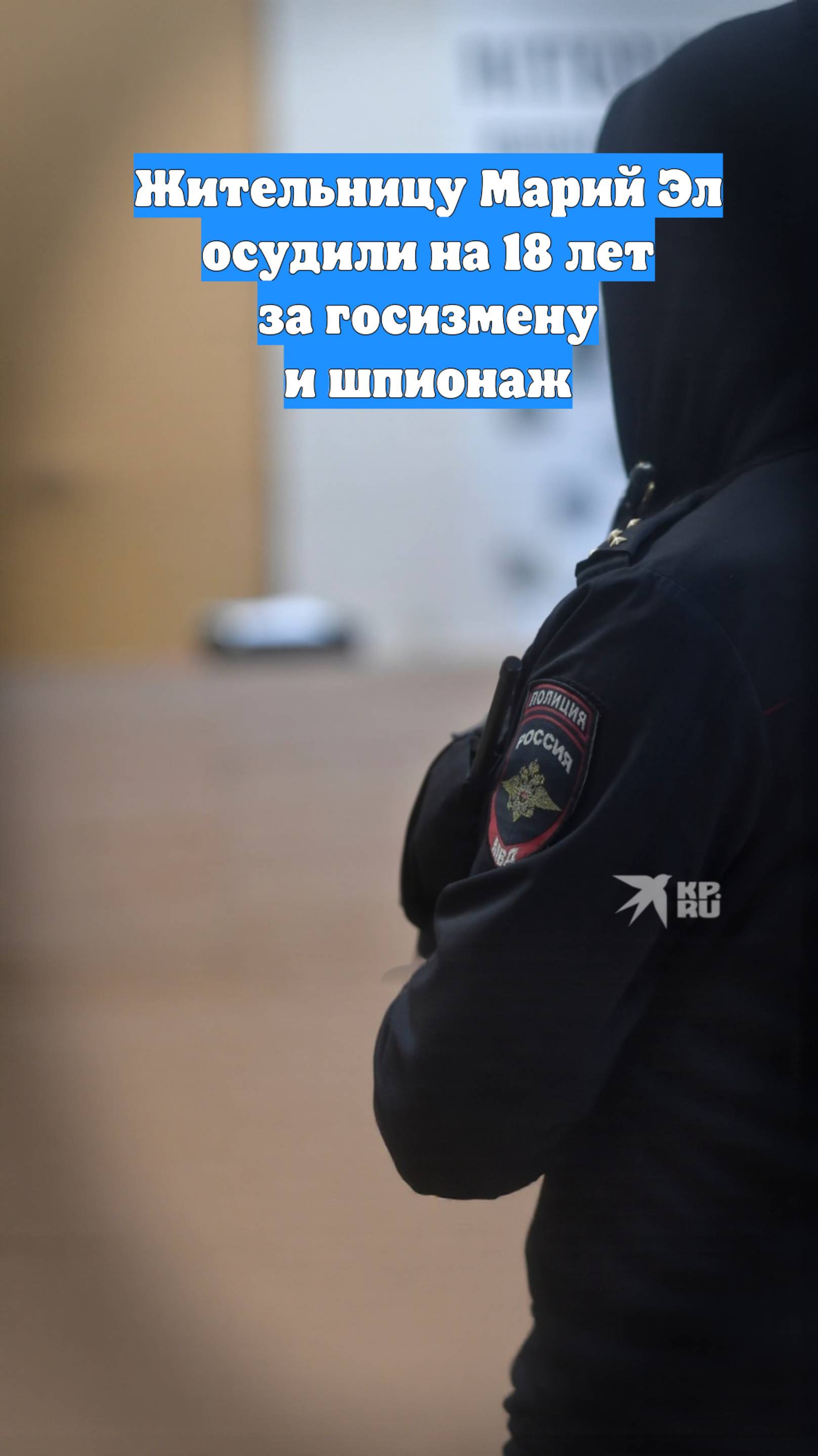 Жительницу Марий Эл осудили на 18 лет за госизмену и шпионаж
