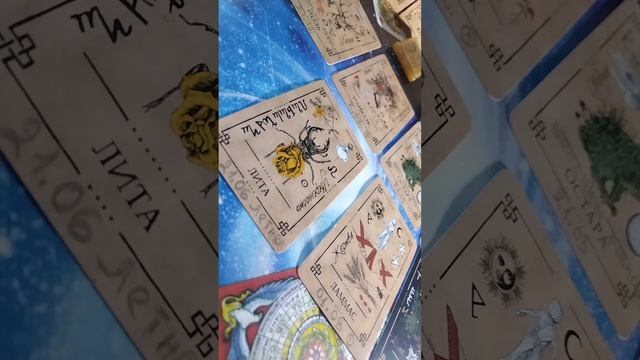21062025🌍🦁🐬Лита🧙♂️☀️🌻Летнее Солнцестояние🍓🍊🍀🌳📱🗝️🏠📚