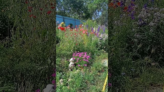 Таро.Нежданно, негаданно для мужчины.
