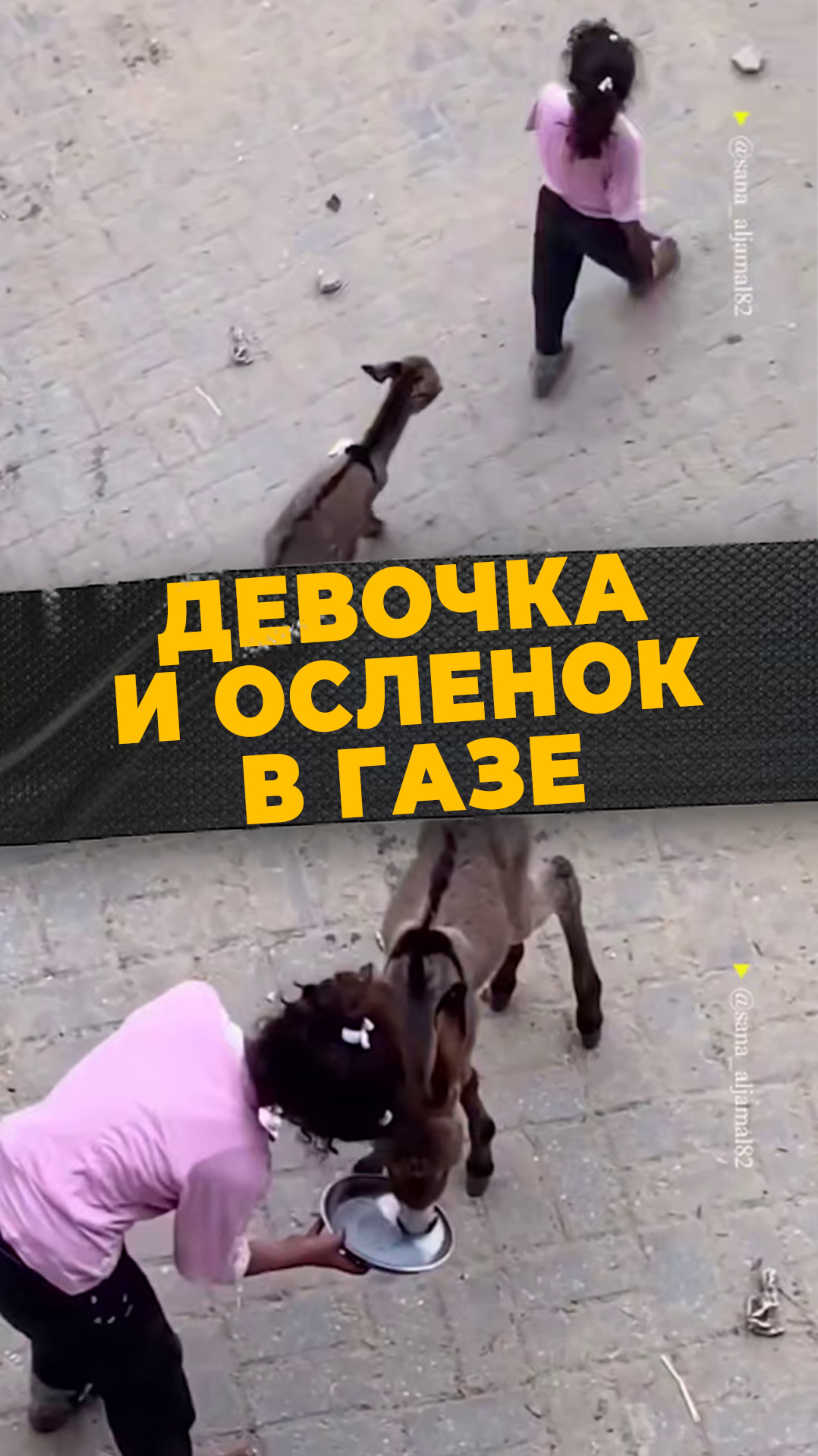ДЕТСКАЯ ЗАБОТА
#мирадио