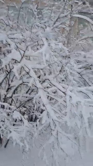 Снег в Питере зима 2024 год.mp4