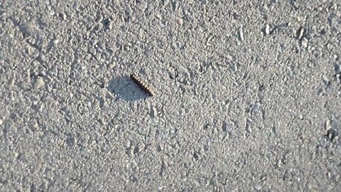 Какая разнообразная наша природа