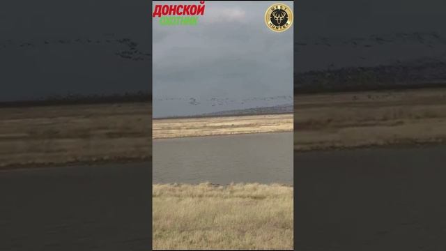 Охота на гуся  - Едим на охоту