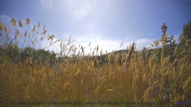 Песня, которая звучит как обещание вечной любви... - Soft and Nothing -- Soft and Furious -- Fluid