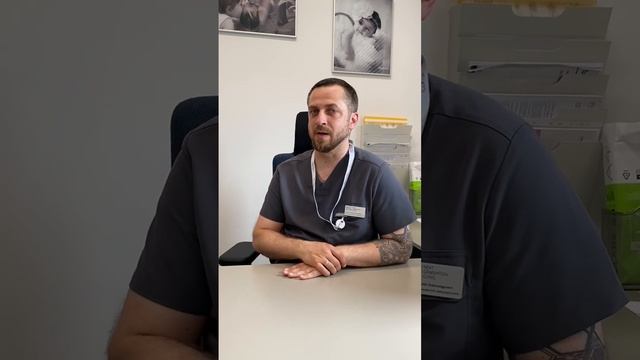 ДЕНЬ ОТКРЫТЫХ ДВЕРЕЙ В NGC