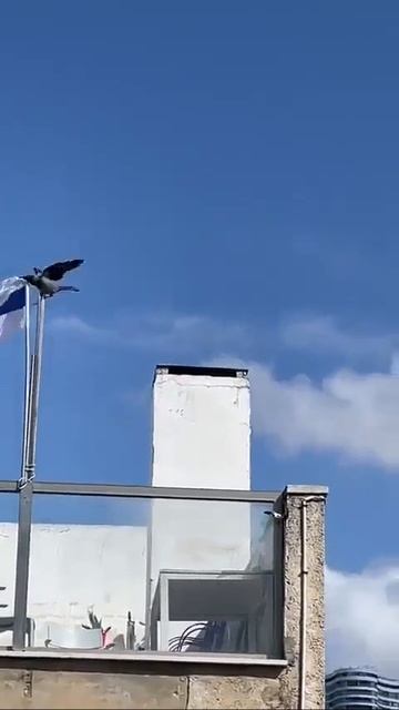 ....намёк свыше..