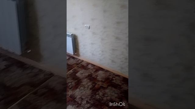 1000020600.mp4