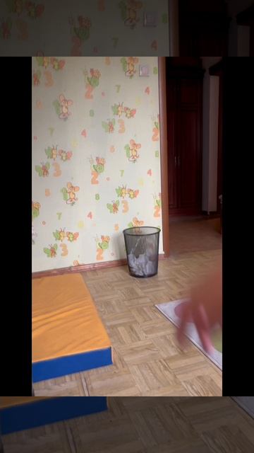 Когда попал в урну…