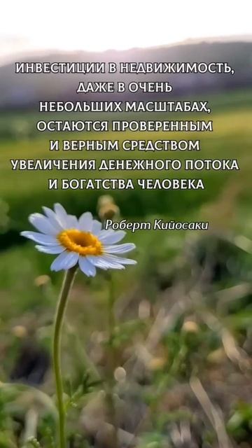Инвестиции в недвижимость. 
Роберт Кийосаки.