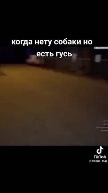 When there is no dog, but there is a goose | TikTok Trends 2021|