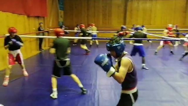 только вольные бои