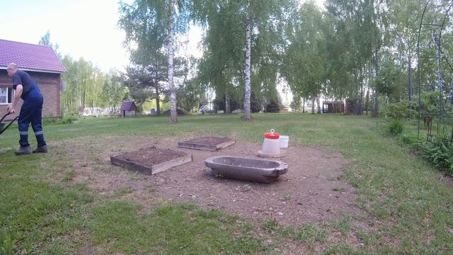 Купель - "сухой душ" для фазана. "Чистим пёрышки"...