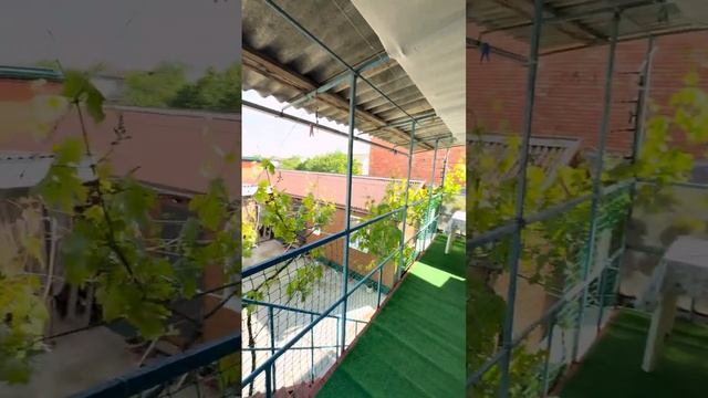 Калинина Советов 4ч 1к 2этаж Номер