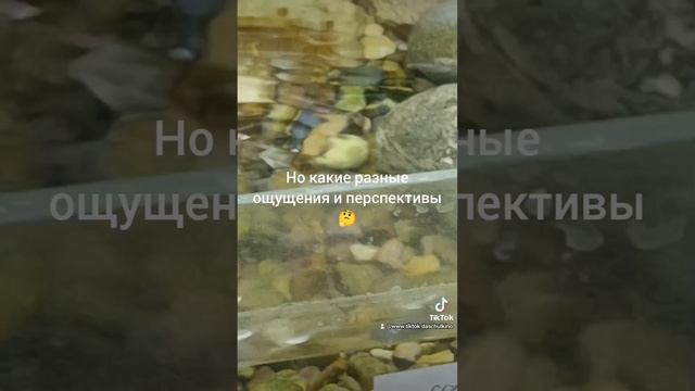 жизнь такая штука непредсказуемая...🐢