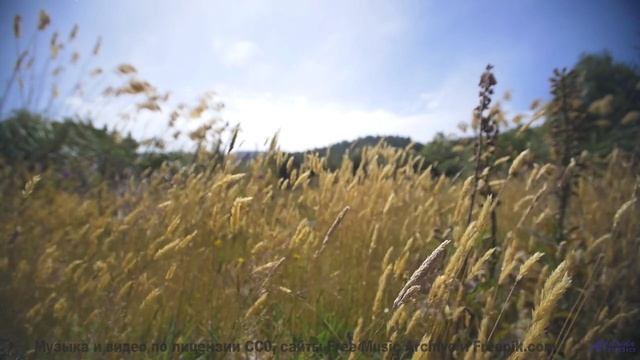 Почему спортсмены слушают это перед соревнованиями - How Did We Get Here -- Frau Holle -- Different
