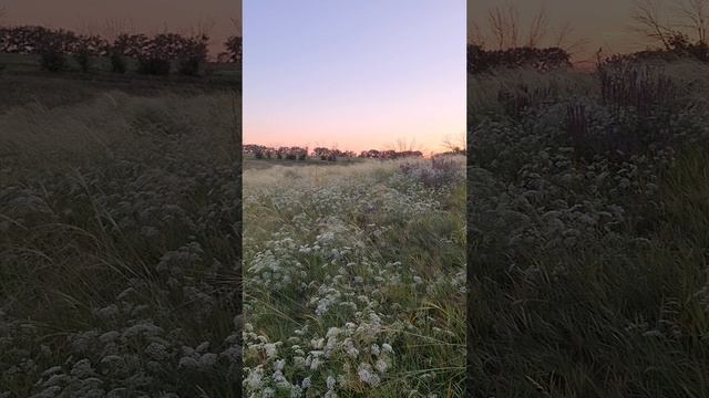 1000222040.mp4