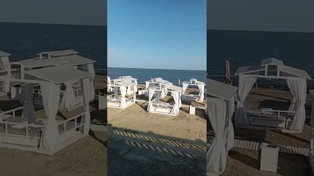 Утренняя прогулка.