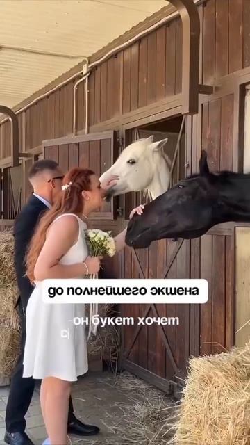 Фотограф поделилась самой незабываемой свадебной фотосессией в своей карьере

Фотогеничность к котор