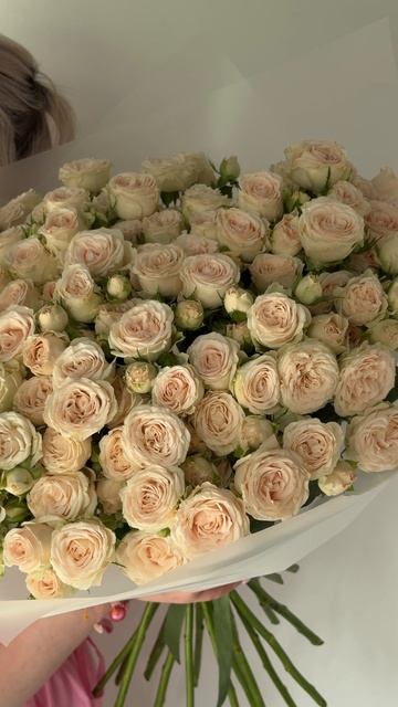 Моно букет из кустовой кремовой розы (25 шт.)