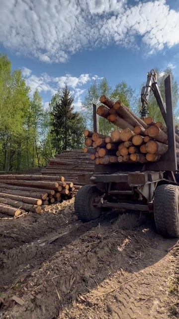 Загрузка и выгрузка на раму #Пиломатериалыоптом #купитьобрезнуюдоскуоптомвМоскве #обрезнаядоска