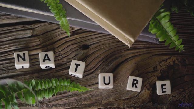 Этот трек - как компас, ведущий к мечте! - Tarzan (on a Saturday afternoon) -- Dr Sparkles -- Skip W