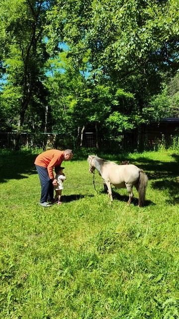 Спаниель играет с пони 🐴🐕