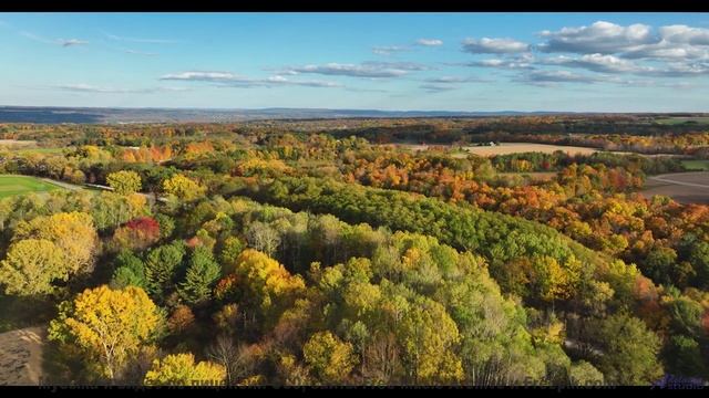 Это ИЗМЕНИТ твое восприятие природы! - Ghost -- Forget the Whale -- Take to the Skies!